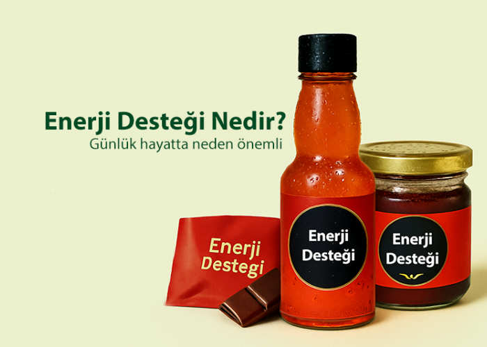 Enerji Desteği Nedir? Günlük Yaşamda Neden Önemlidir?